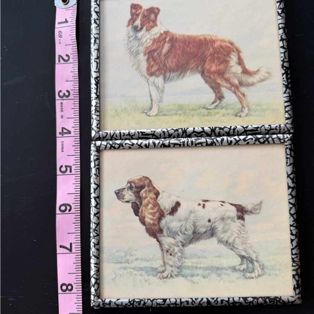 Vintage Small Dog Illustration Wall Art Pair - Collie & Cocker Spaniel - Picture 3 of 6